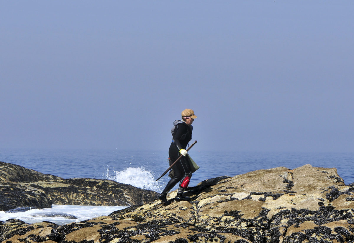 El mar, ese joven- Percebeiras de Baiona